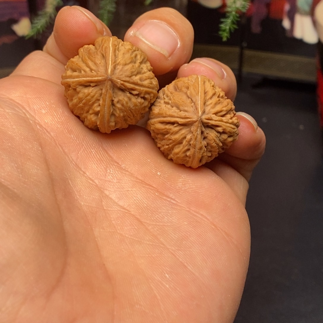 文玩核桃把件好****座27野生元宝四棱