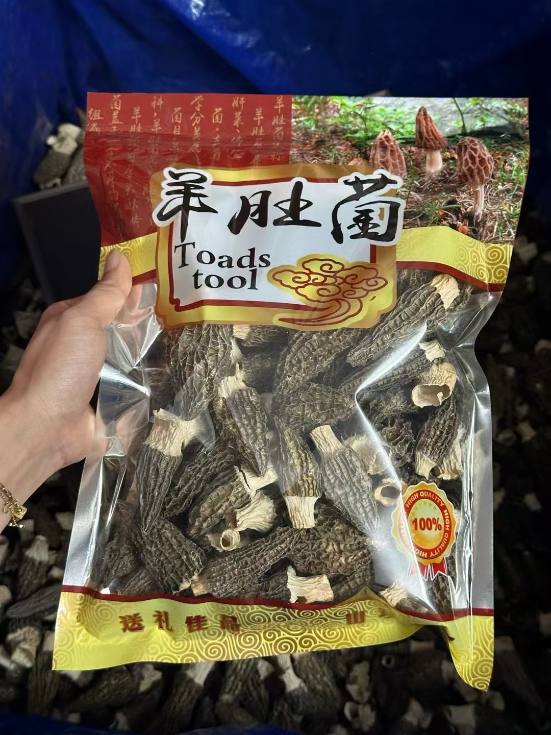 精选头茬羊肚菌无添加煲汤食材4-7规格