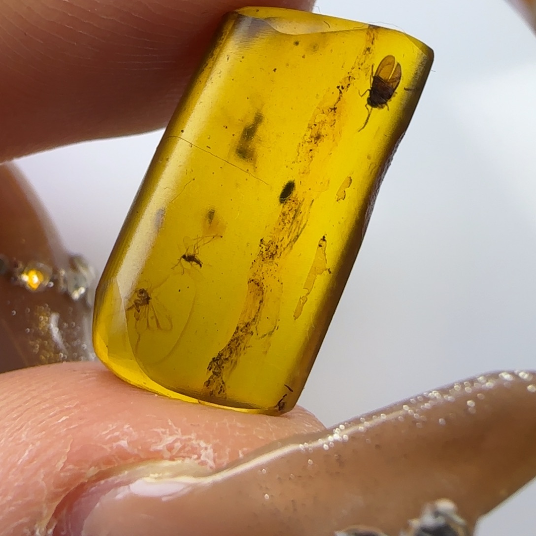 琥珀裸石未镶嵌呤