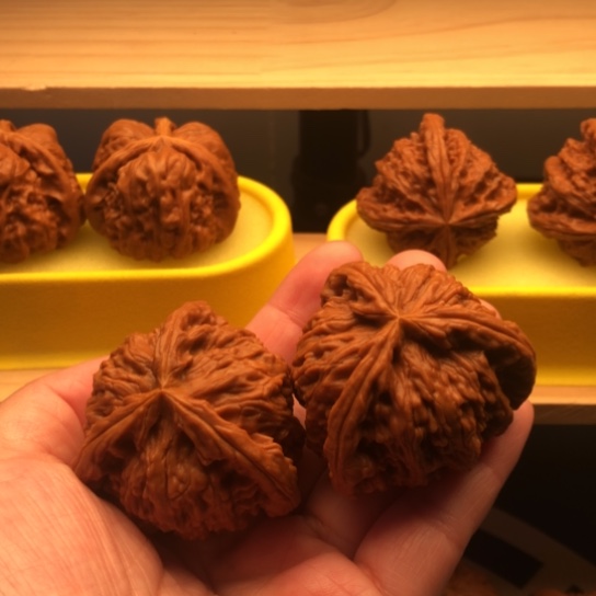 盏***暨一切顺利万事如意