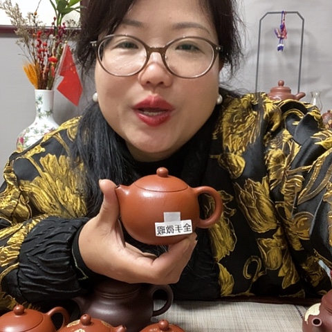 朱泥茶壶2246678999z sh