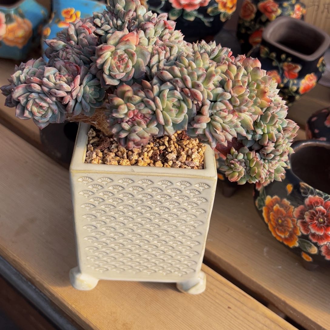 书***包新年快乐 新年快乐 新年快乐