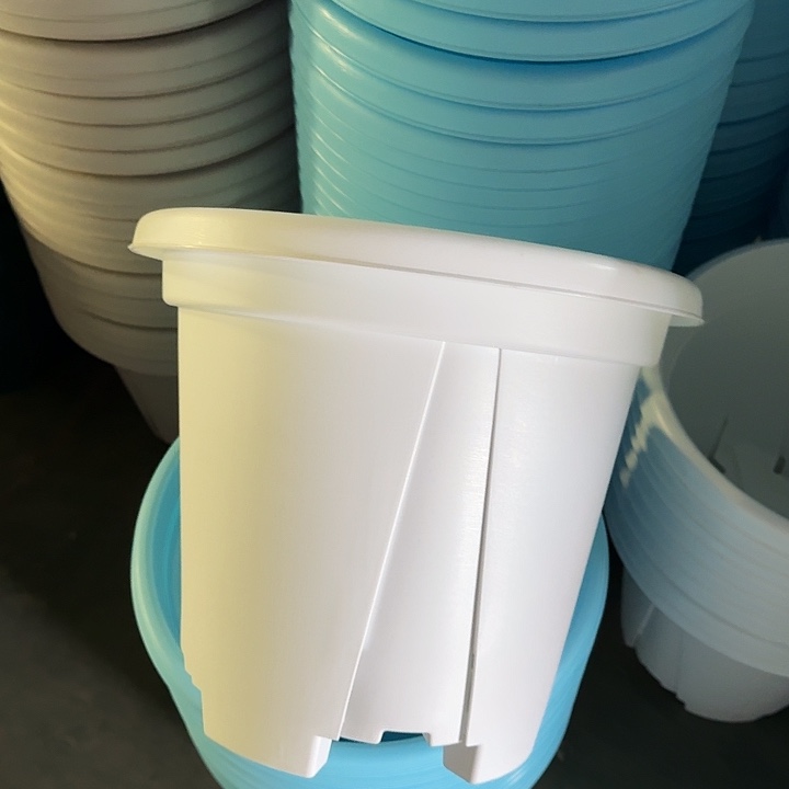 青山7#白色5个无托