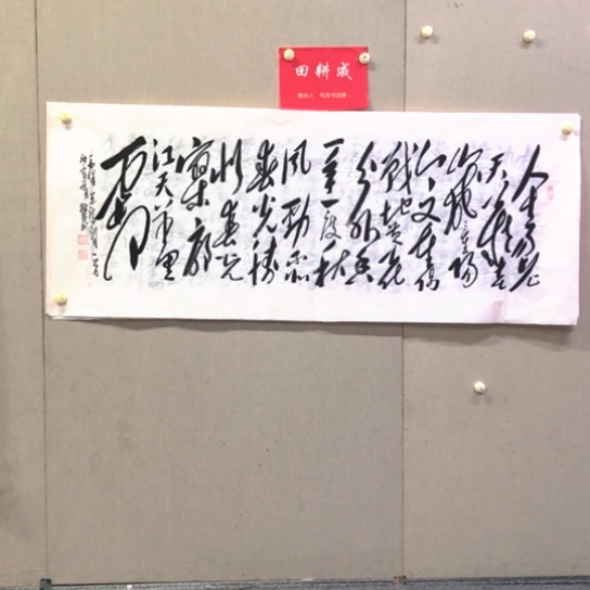 书法田耕成书法作品欣赏