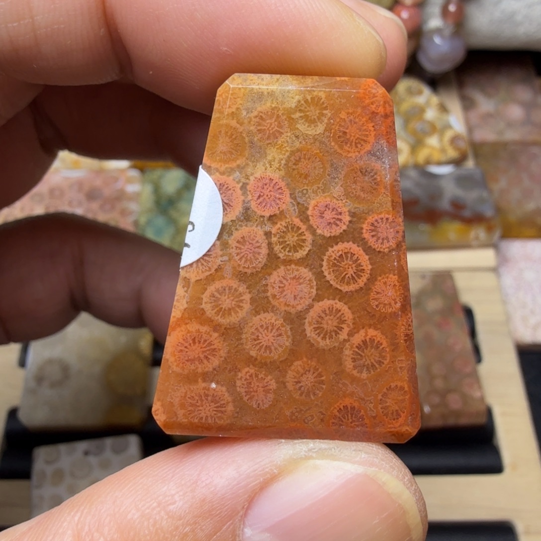 硅化玉未镶嵌纯天然色有机玉石保真色