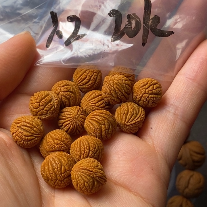 文玩核桃吊坠秦岭野生龙纹桃核12
