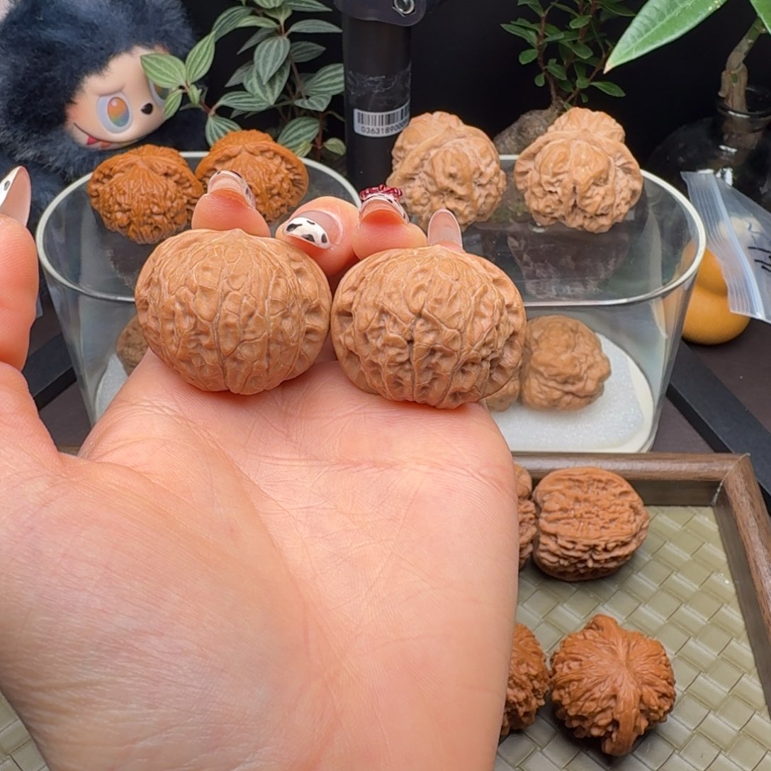 把件龙脊菩提全品乾隆磨36