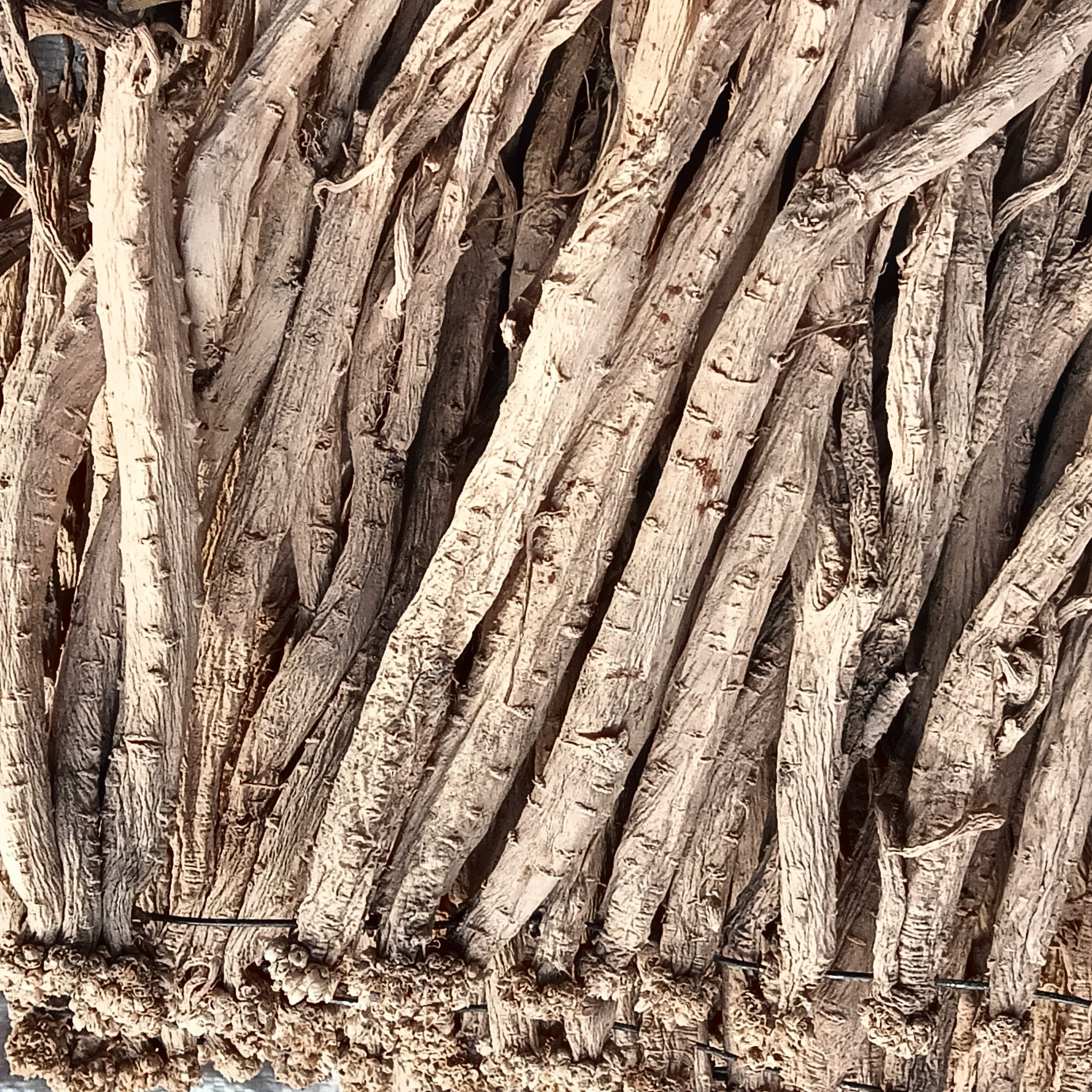 甘肃渭源产地直发无硫熏靓党参大条可煲汤炖肉滋补干货