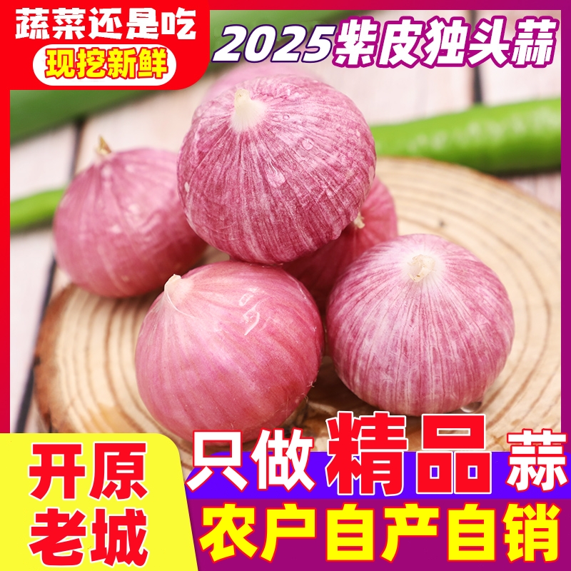 新货 2025年开原老城现挖新鲜紫皮独头大蒜独头蒜