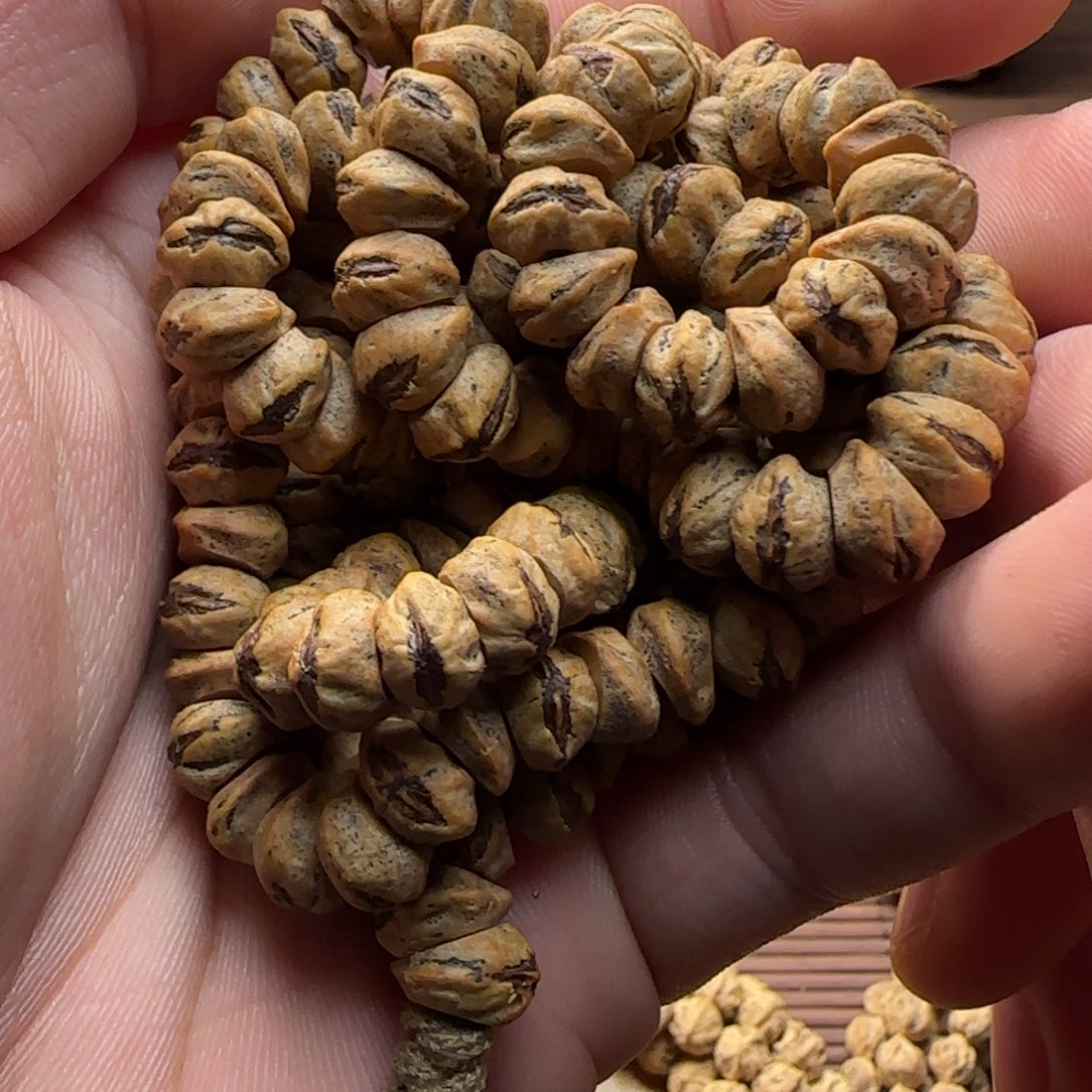 C***h柏香籽/百香籽吊坠