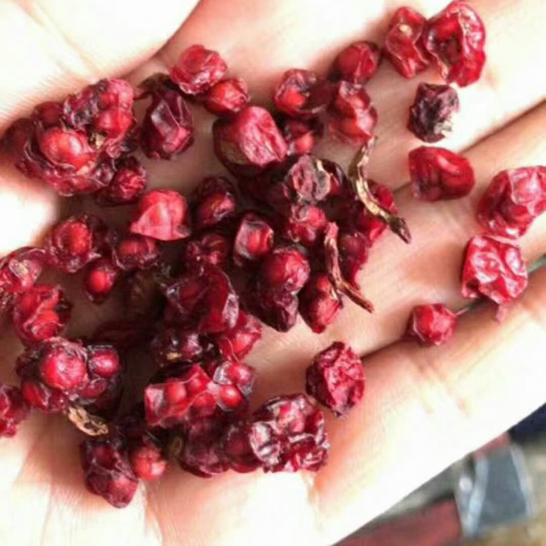 东北五味酸果泡水喝