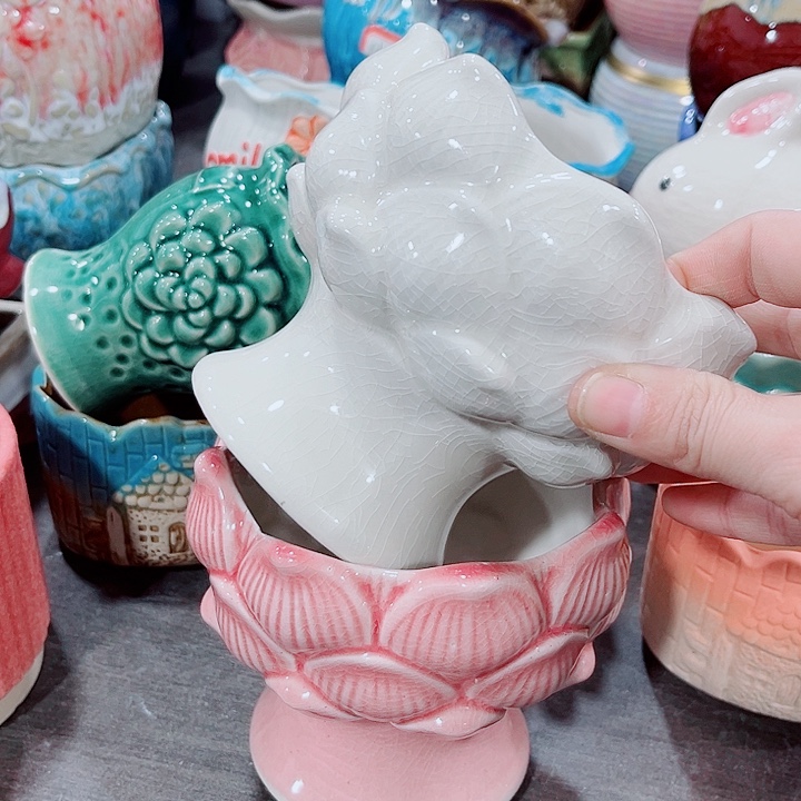 多肉花盆满10元包邮