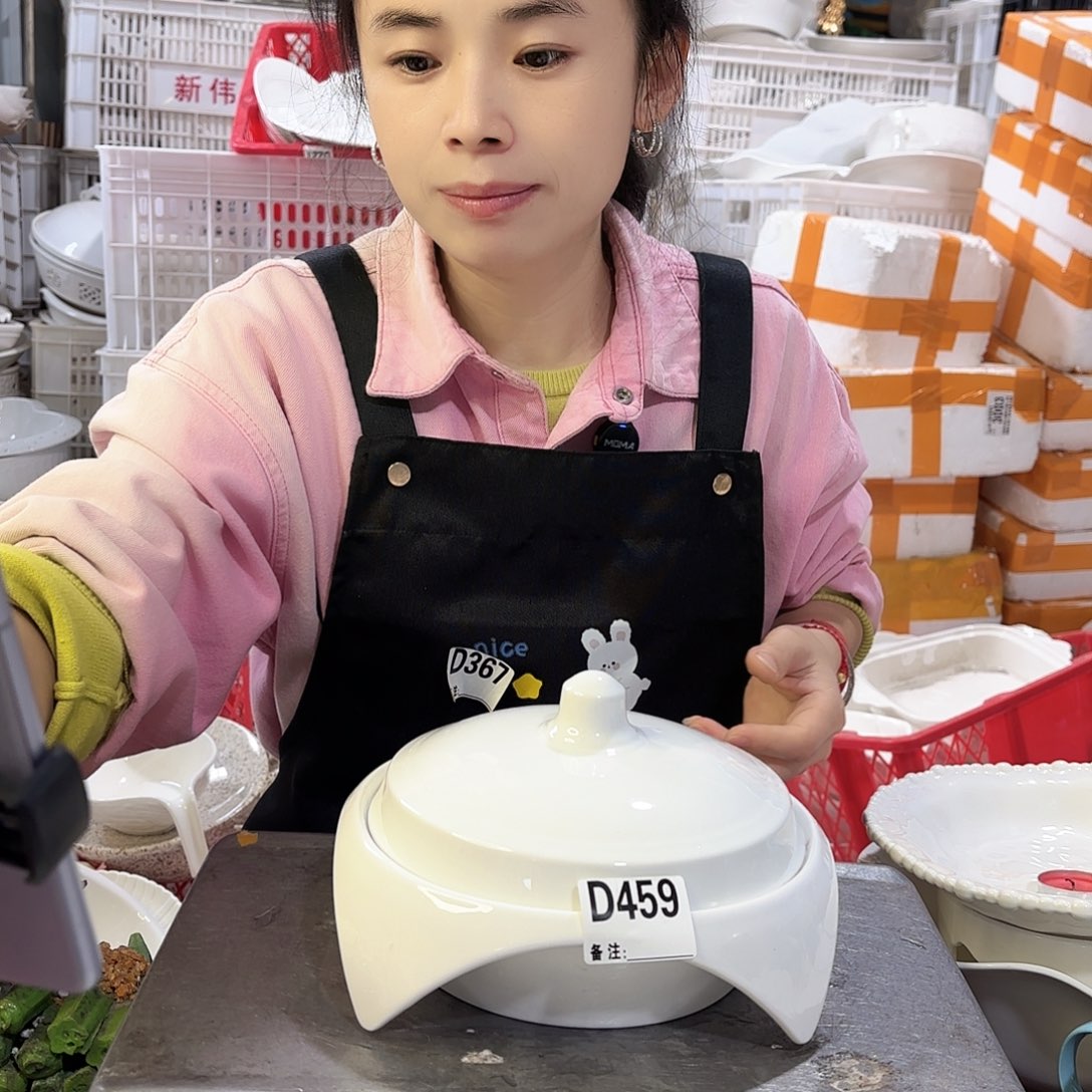 盘微瑕产品………D459大号一个