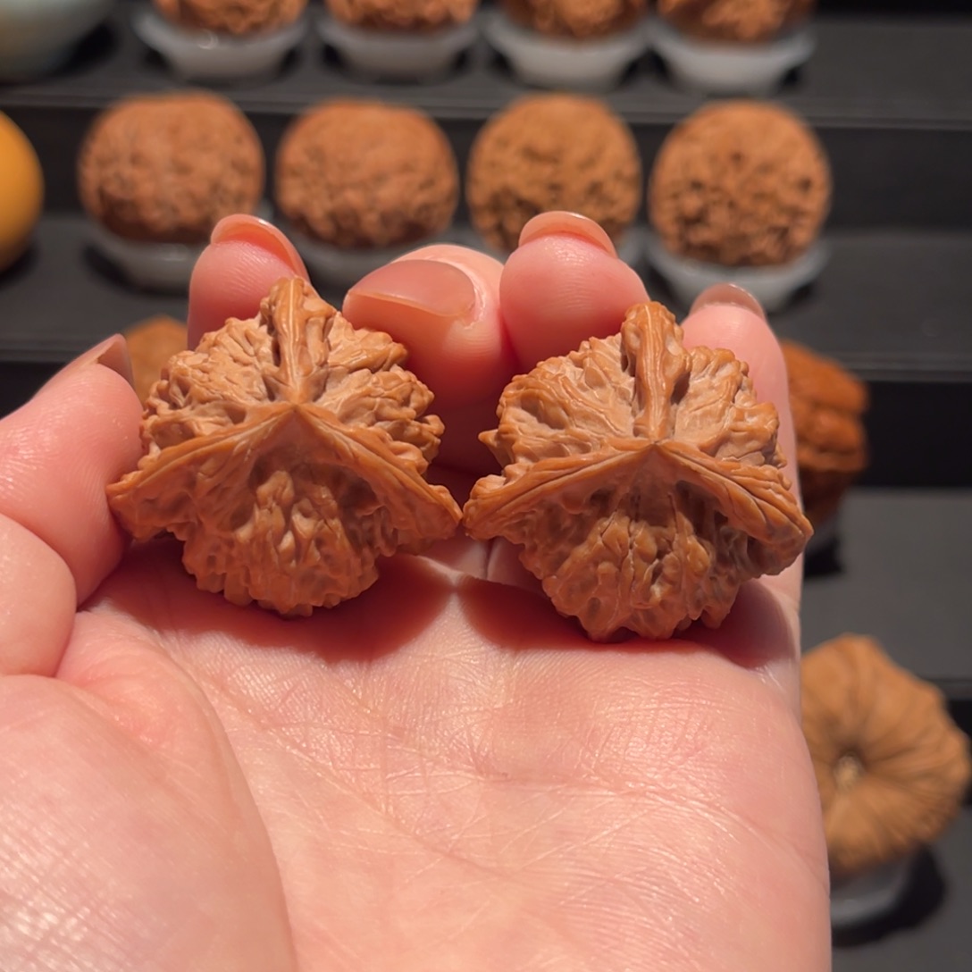 盘山三棱33精品大漏