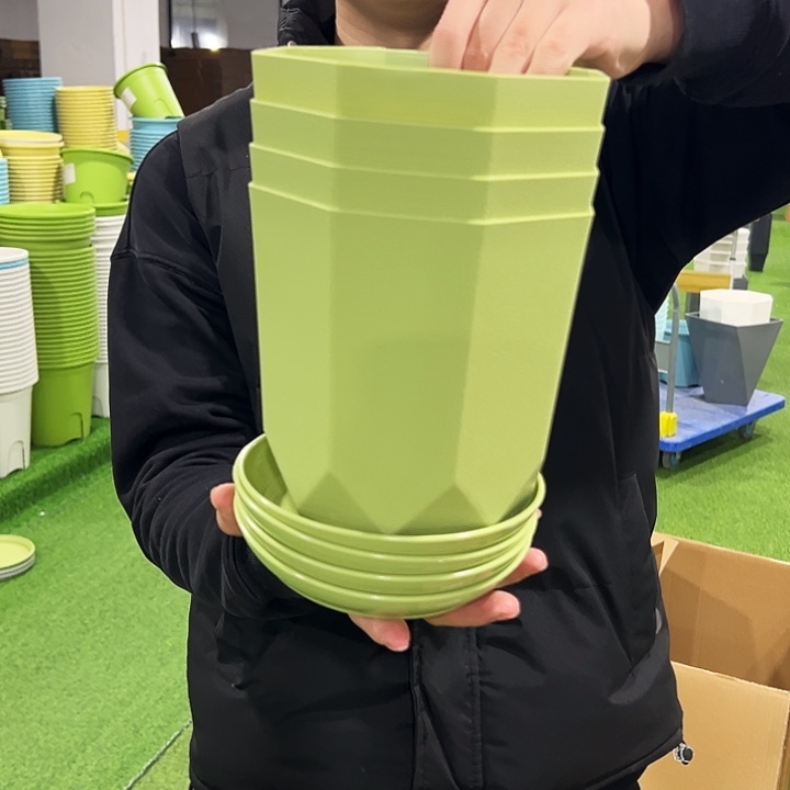 清仓带箱fz155口15.5高16.5果绿色4只带托