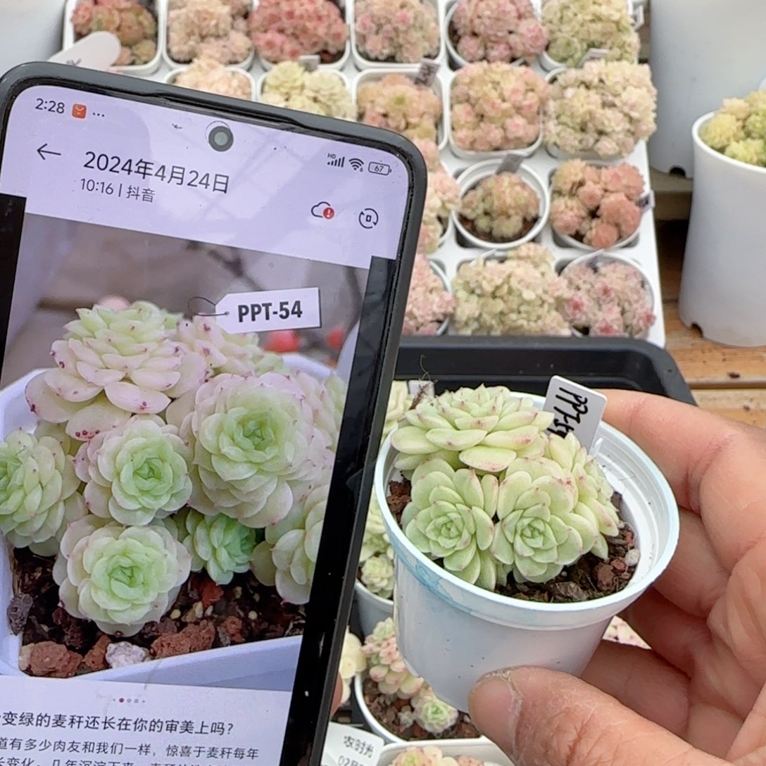 原****啊【闪购商品】0207-98（ppt-54）