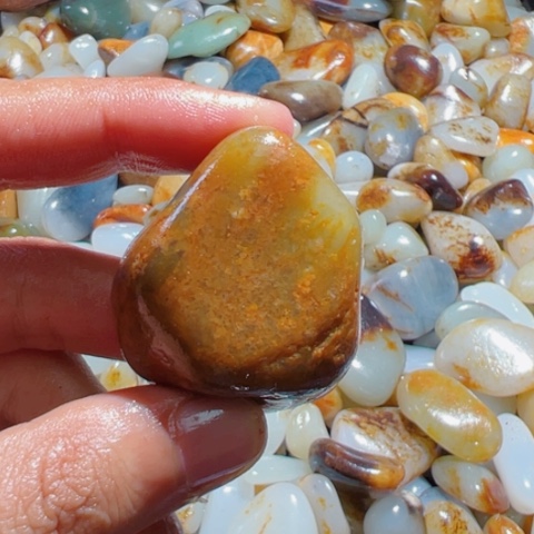 和田玉（糖玉）手链未镶嵌22