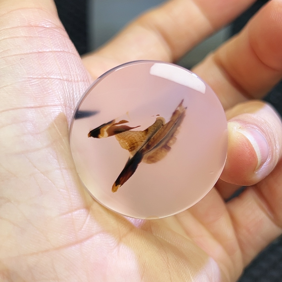 手***四玛瑙/玉髓未镶嵌珠宝半成品