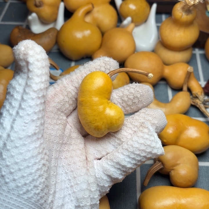 图***乐葫芦6666666666666