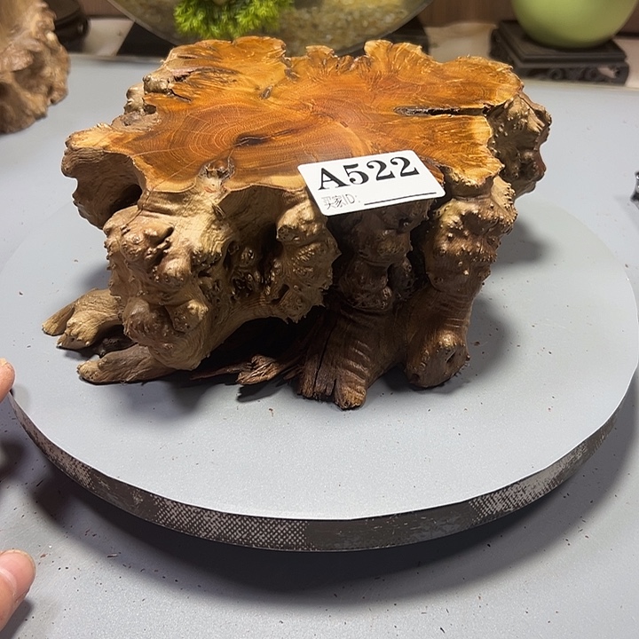 庆***华大果紫檀（缅甸花梨）