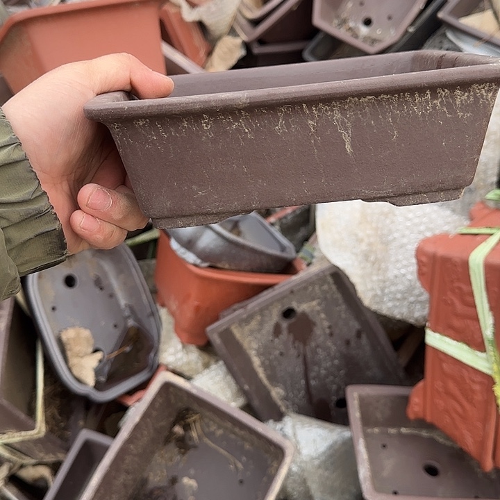 我不晓得咋整啊个晓得嘛诶你又没给