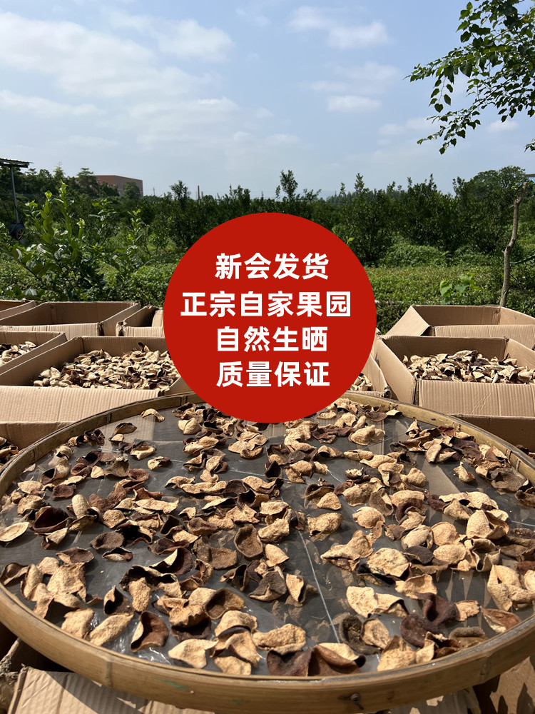 正宗2013年南坦驳枝二红陈皮干自然生晒广东特产自家果园