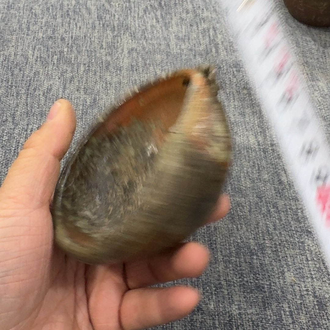 非常美丽漂亮的物品