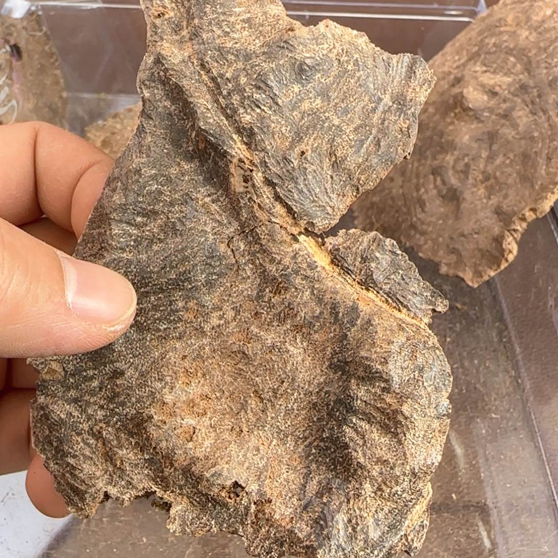 沉香摆件香港沉香野料铁头料12克