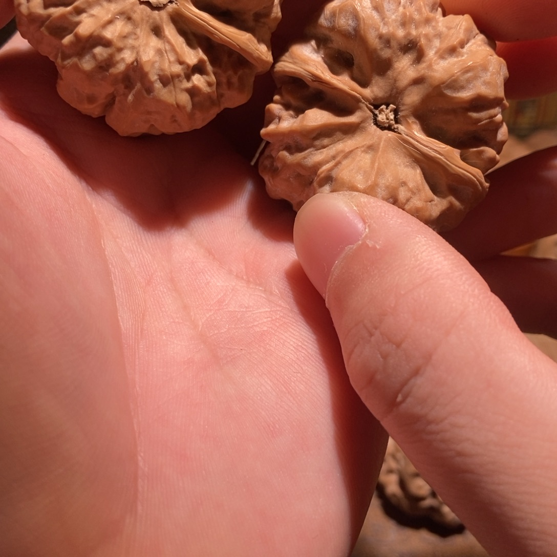 爱***起吊坠文玩核桃蛤蟆头D04