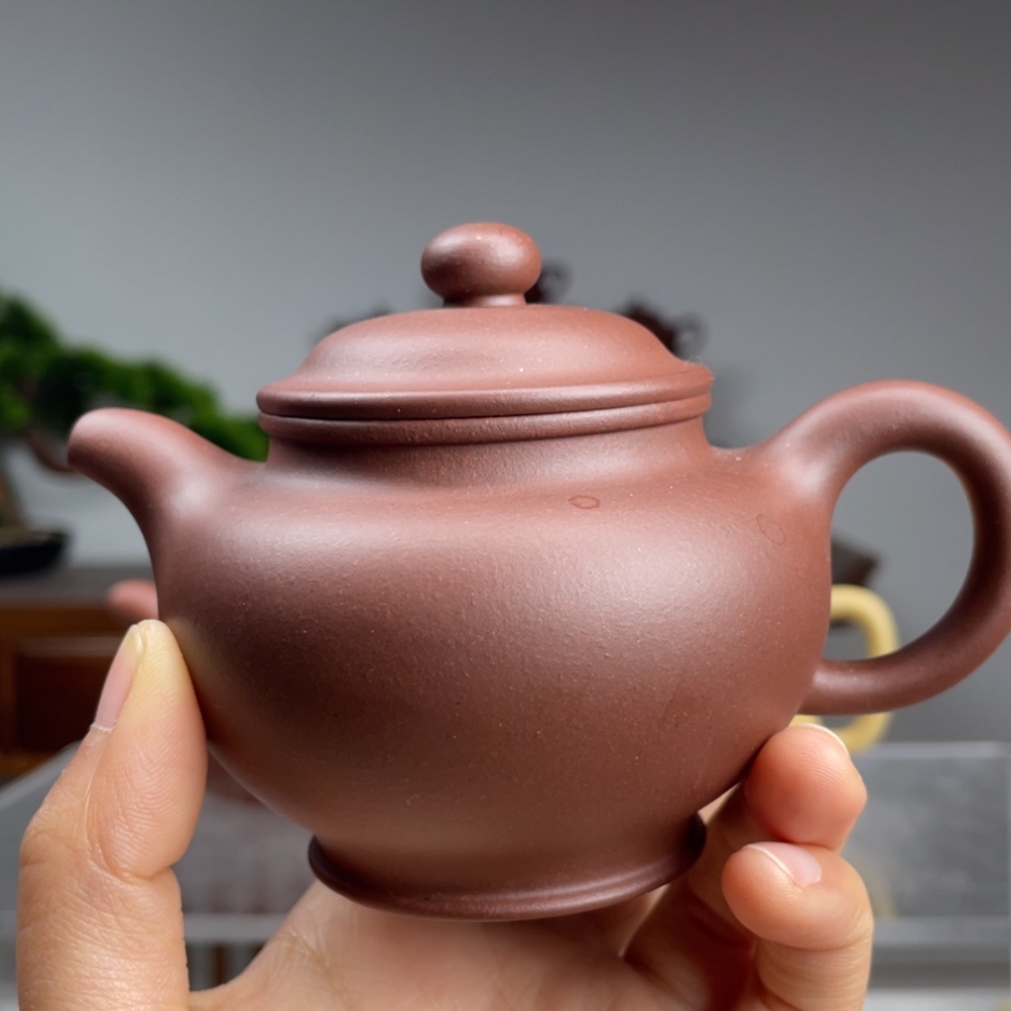 【闪购商品】紫砂茶壶砂性紫泥掇只容量170cc