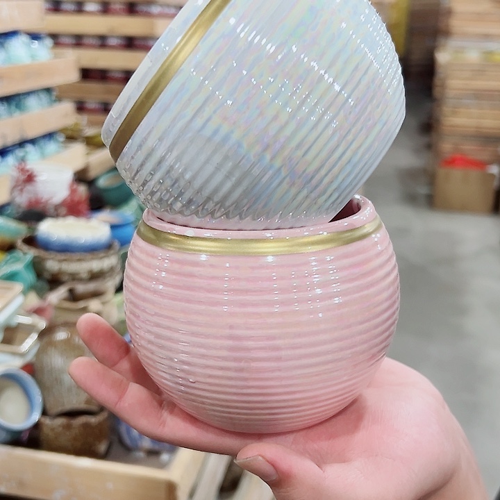 花盆有孔！订单凑满10米包由！