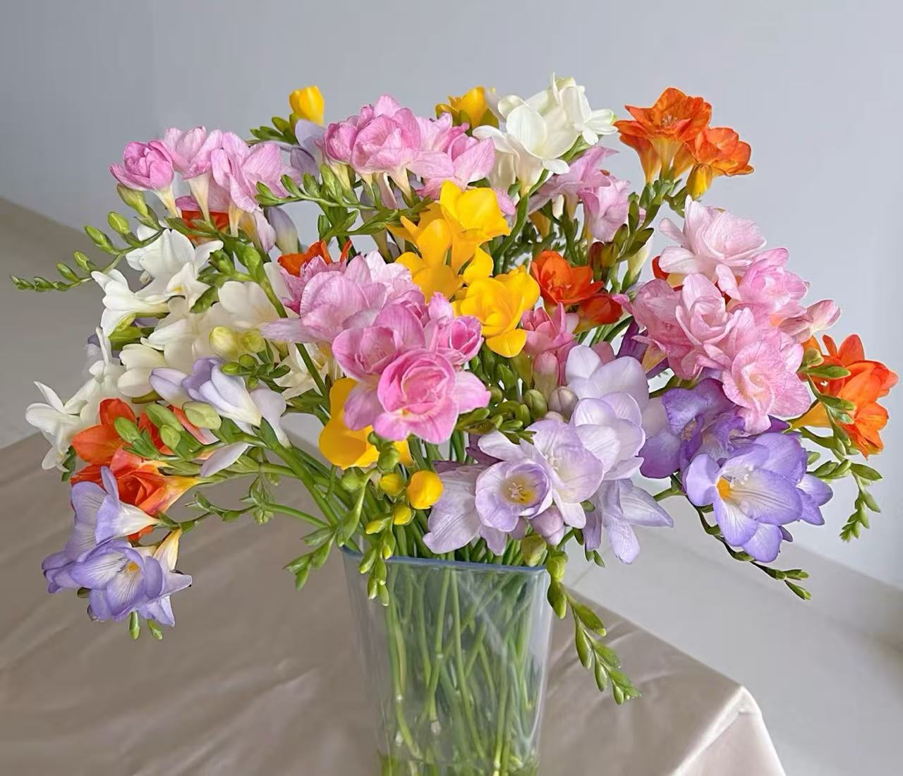 香雪兰 云南鲜花任意两单发顺丰