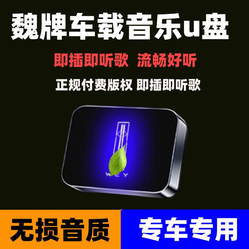 适用于魏牌车载无损U盘专用蓝山高山摩卡拿铁VV7/VV5/VV6音乐优盘