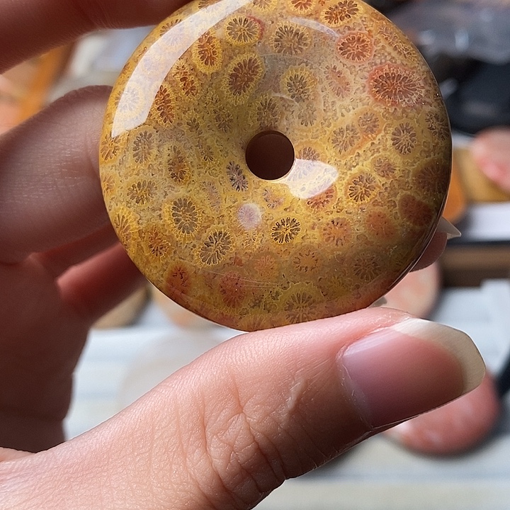 C***B硅化珊瑚未镶嵌颈饰