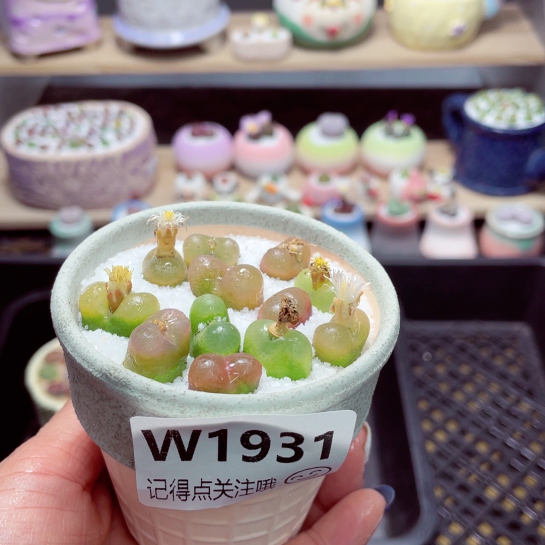 零下地区拍保温箱w1931