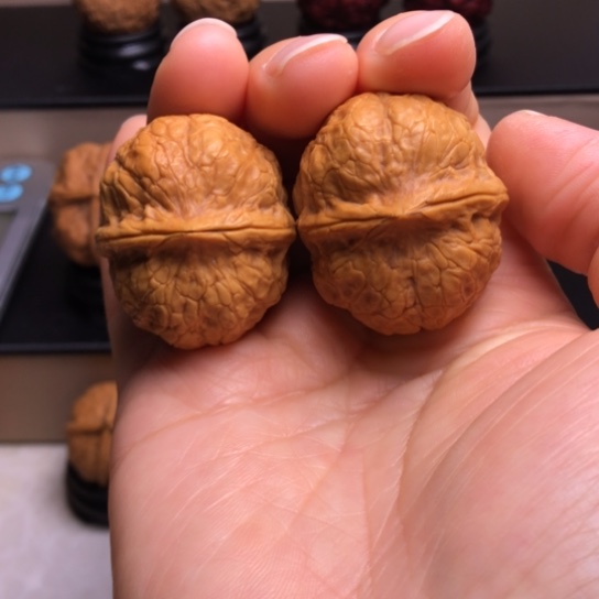 文玩核桃把件金甲龟龙6