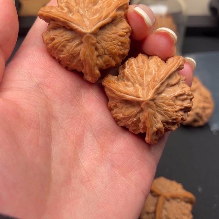 文玩核桃把件三棱