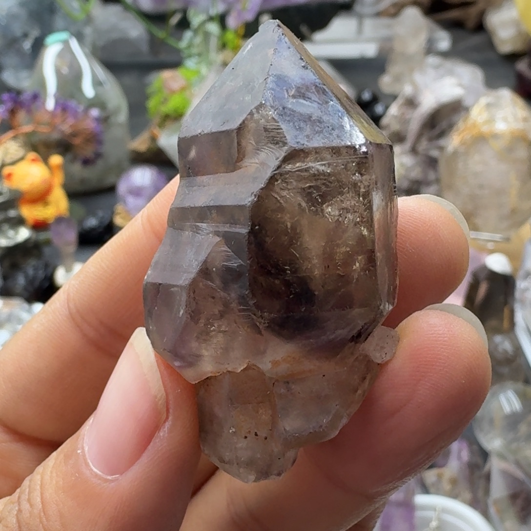 黑超七权仗克二的一