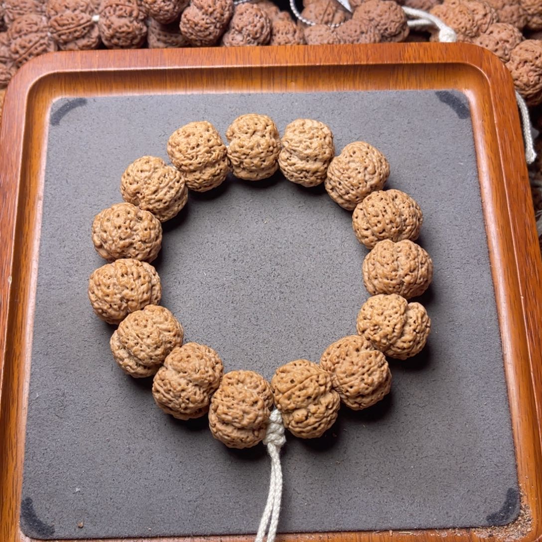 菩提籽类26号金刚菩提爆肉霸王花23