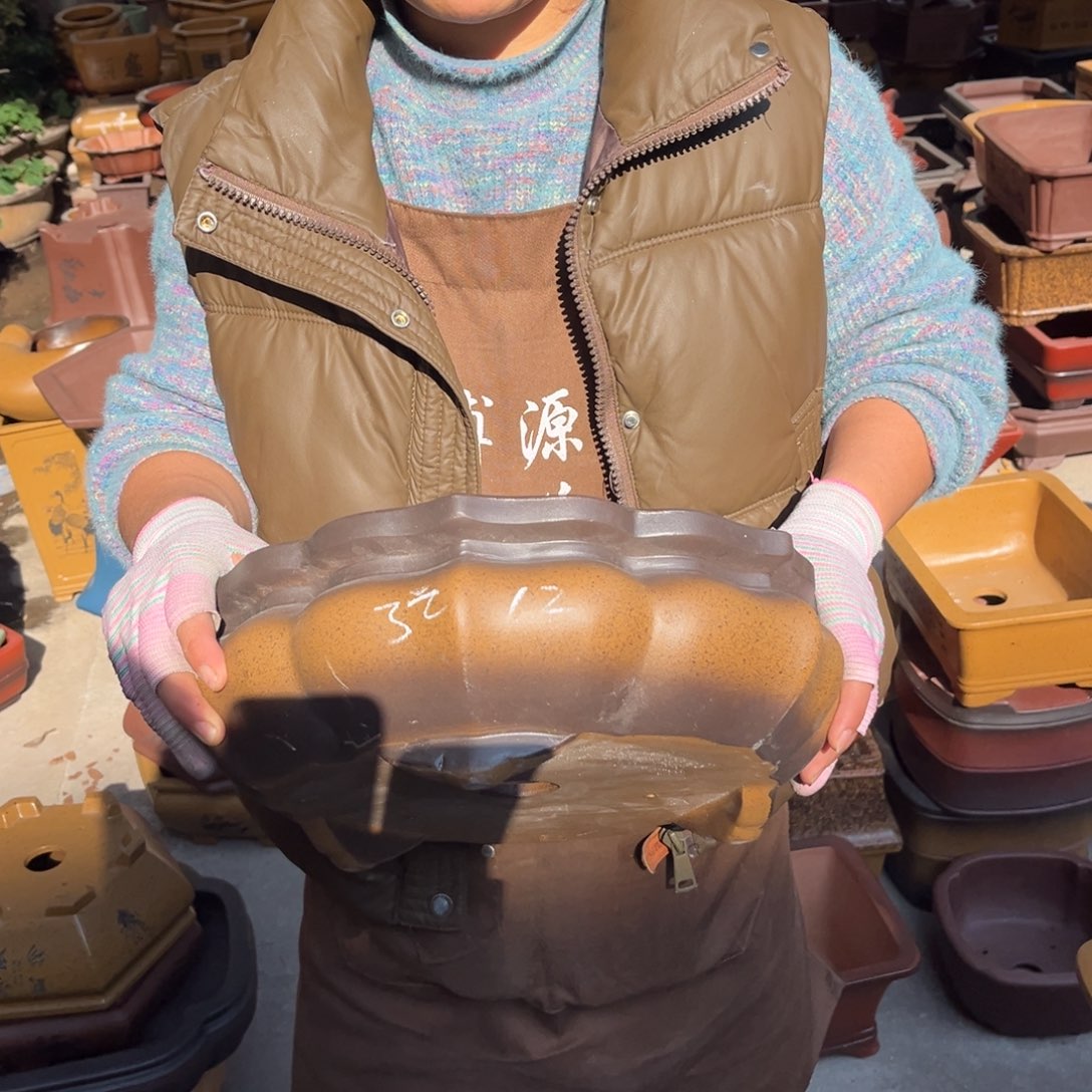 紫砂花盆盆景艺术