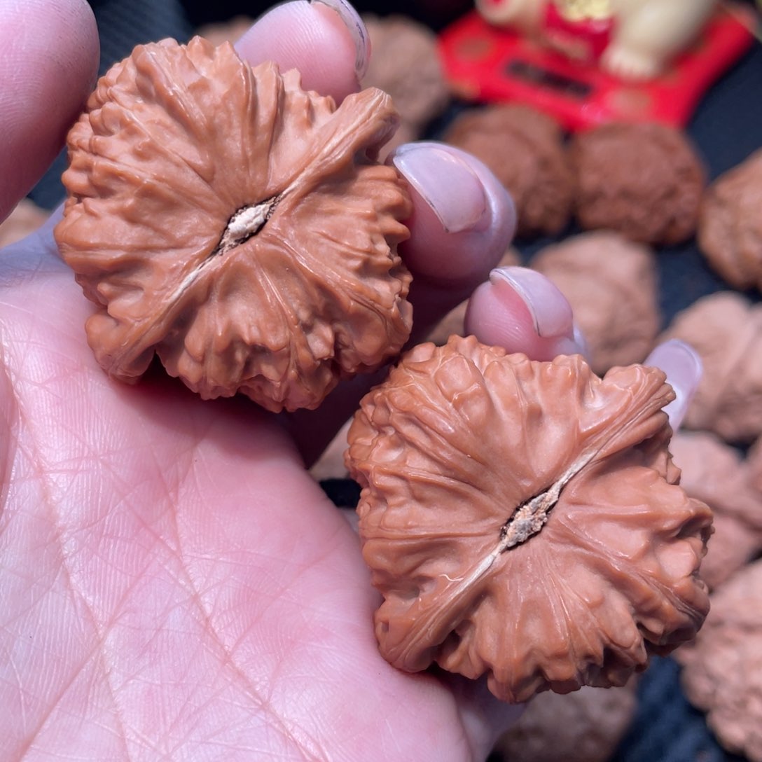 文玩核桃把件白狮子4.1全品