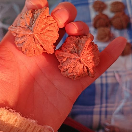 五***七盘山文玩核桃39左右