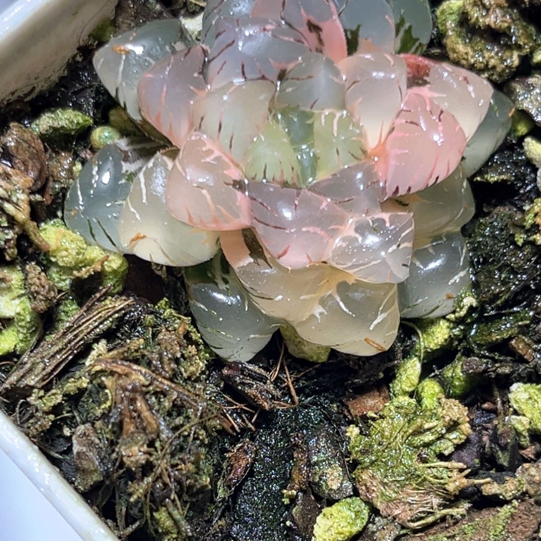 恭喜发财大吉大利0708