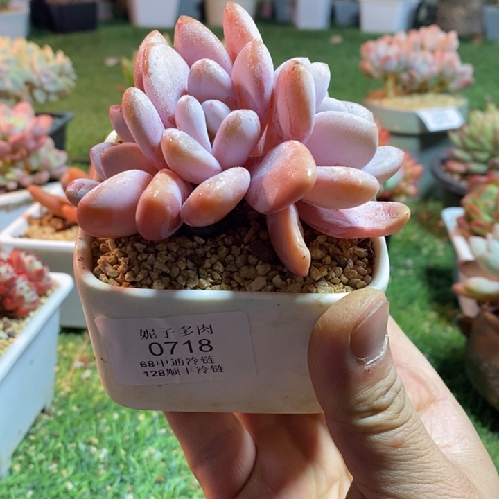 0718啊啊啊啊啊啊啊啊啊啊