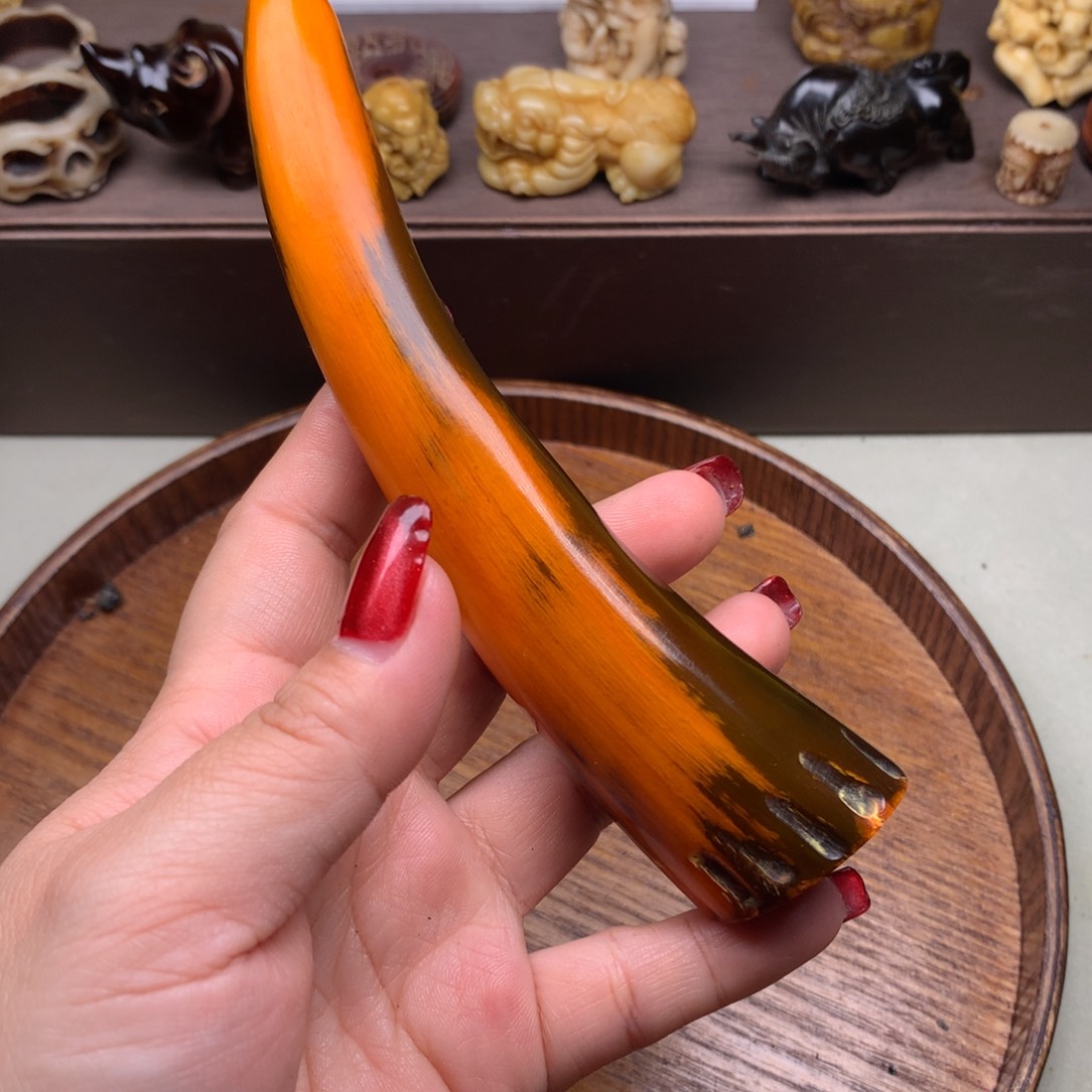 驼骨其他好看牛角