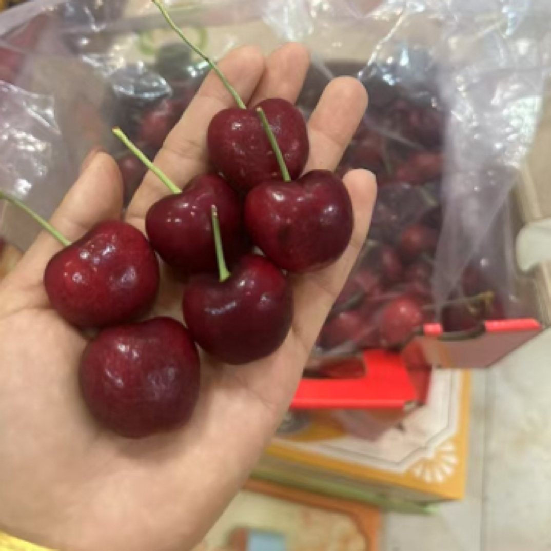 新鲜海运车厘子单J500克1000克5斤10斤拉宾斯智利