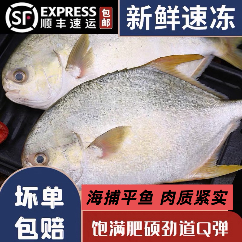 渤海湾黄骅野生平鱼银鲳鱼海捕速冻锁鲜顺丰包邮