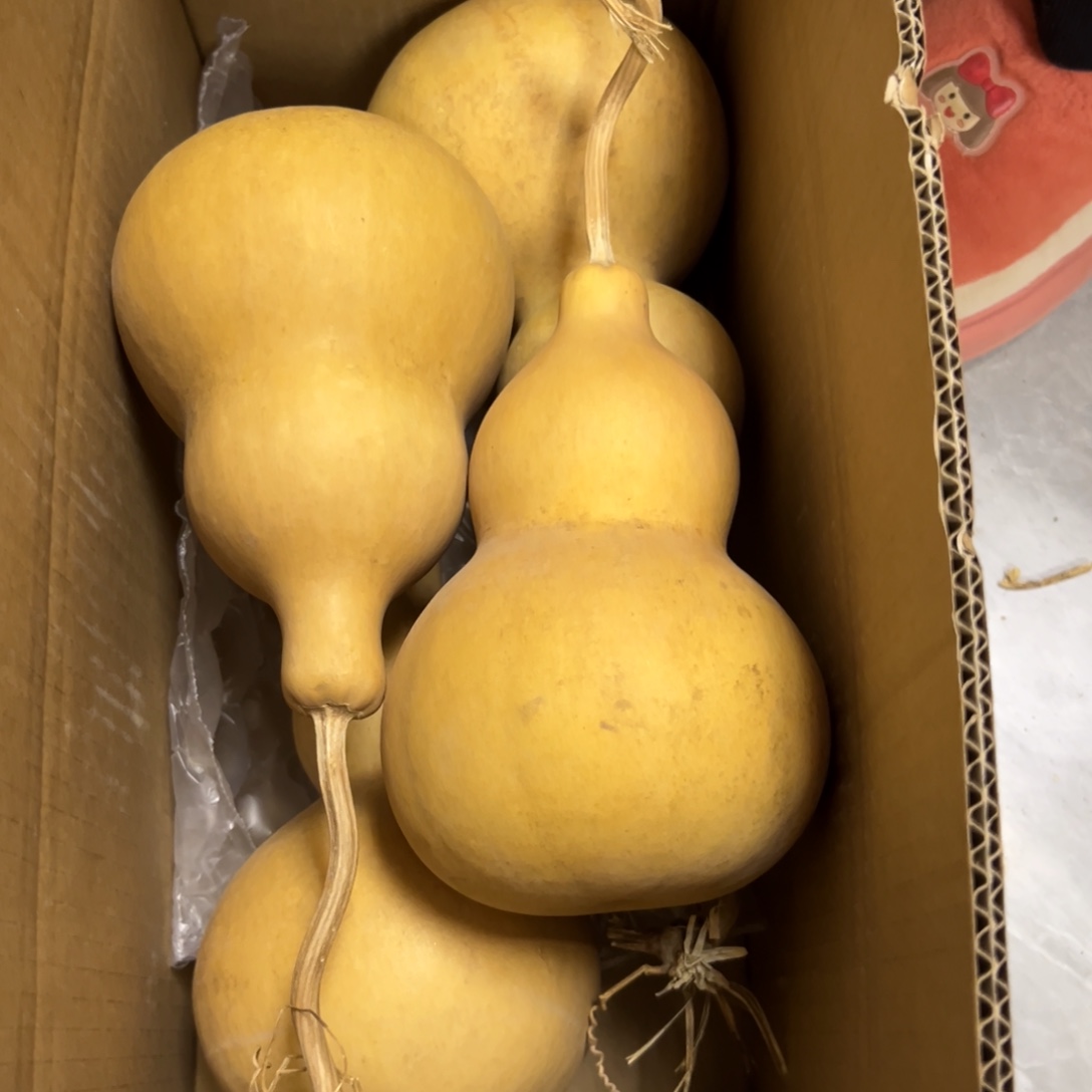 有机玻璃葫芦葫芦葫芦葫芦葫芦