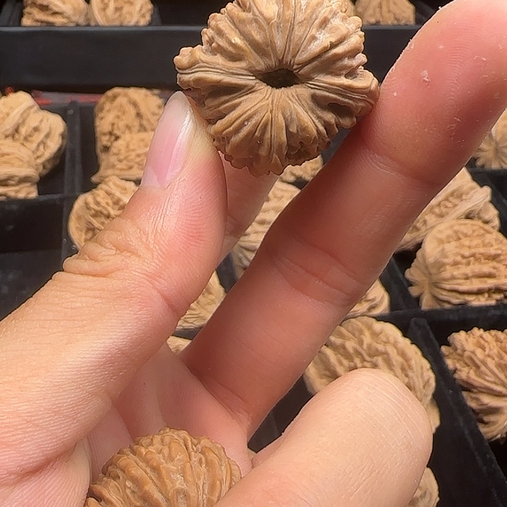 天***天吊坠龙脊菩提啊啊啊啊啊啊啊四座楼6