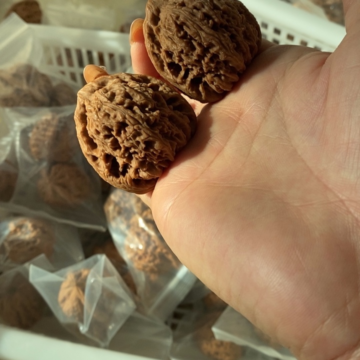 返**车南疆石南疆石南疆石